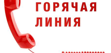 Организована «горячая линия» по вопросам защиты прав предпринимателей