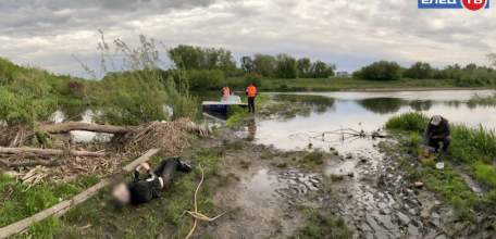 В реке Быстрая Сосна в Ельце обнаружен труп мужчины