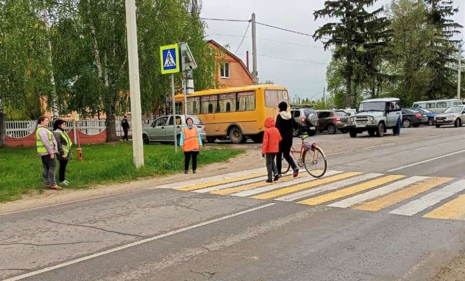 Проводимые липецкими автоинспекторами пешеходные экскурсии помогают детям лучше усвоить дорожную грамоту