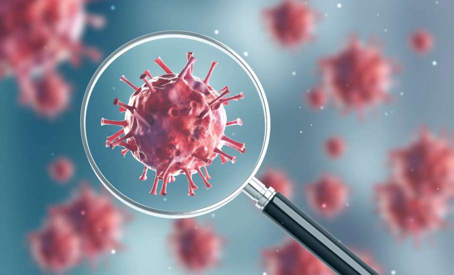 О подтвержденных случаях новой коронавирусной инфекции COVID-19 в Липецкой области и мерах профилактики