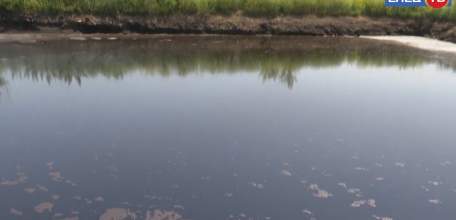 История «с душком»: ельчане жалуются на неприятный запах в городе