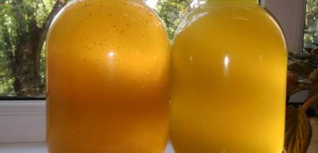 В Ельце пенсионер лишился 14 тысяч рублей при покупке меда