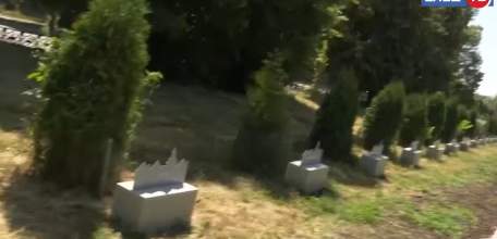 Комфортная среда: общественные пространства Ельца меняются к лучшему