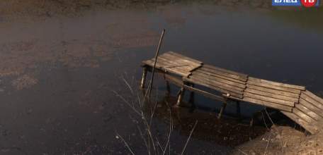 Начались проверки: источником зловония в Ельце заинтересовались прокуратура и полиция