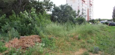 В Ельце следователи регионального СК России устанавливают обстоятельства убийства несовершеннолетней жительницы Волгоградской области