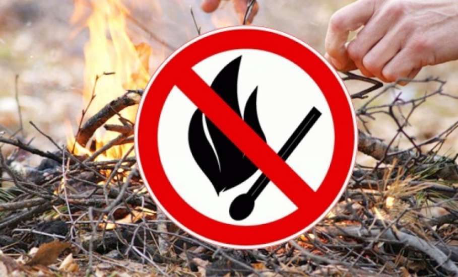 Особый противопожарный режим вводится в лесах Липецкой области