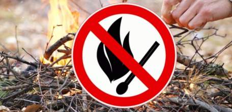 Особый противопожарный режим вводится в лесах Липецкой области