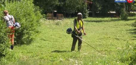 Пока трава высока: коммунальные службы продолжают работы по благоустройству города