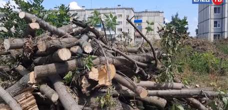 Все на субботник: жители 7-го микрорайона вышли на борьбу с зарослями