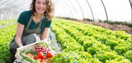 Сезонное трудоустройство в Липецкой области: в каких сферах ищут работников на лето