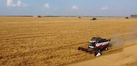 Первый миллион тонн зерна собран в Липецкой области