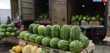 Кладезь витаминов или нитратов? На рынках Ельца проходят проверки бахчевых