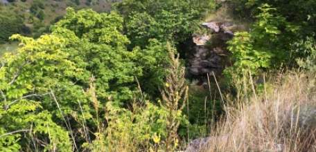 В Липецкой области следователи регионального СК России устанавливают обстоятельства смерти женщины на территории заповедника