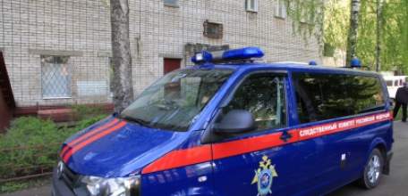 В Ельце местная жительница заключена под стражу за убийство сожителя