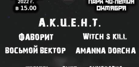 Музыкальный Фестиваль "Рок над лесом 2"