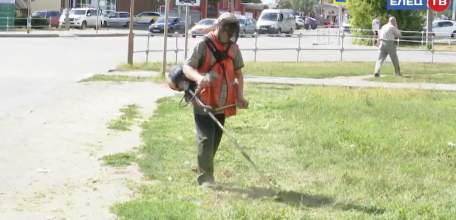 Опиловка и покос: как в городе решаются эти вопросы – в комментарии специалиста