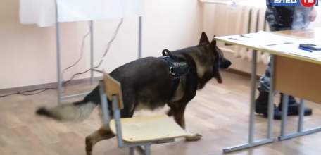 Сотрудники МЧС и кинологи проверили безопасность избирательных участков в Ельце перед выборами