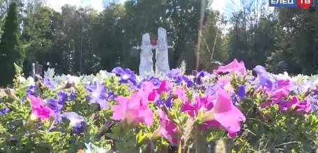 «Репортаж из твоего района»: в объективе ЕЛЕЦ ТВ – район ДК железнодорожников