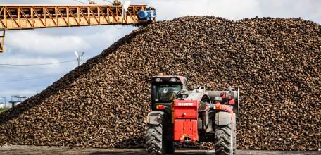 Все сахарные заводы Липецкой области приступили к переработке свёклы