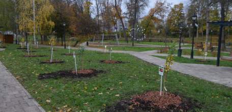 В Ельце заложили уникальный сад с редкими сортами отечественных яблонь