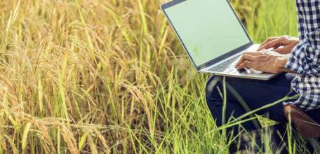 Мобильная связь и интернет пришли в отдалённые сёла Липецкой области