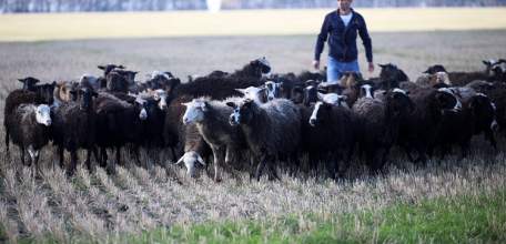 Липецкая область лидирует в ЦФО по количеству заключенных соцконтрактов и выделенных на них средств