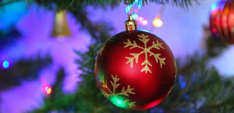 Липецкая область отказалась от массовых гуляний на Новый год