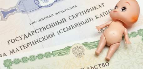 Больше 91 тысячи материнских сертификатов выдано жителям Липецкой области