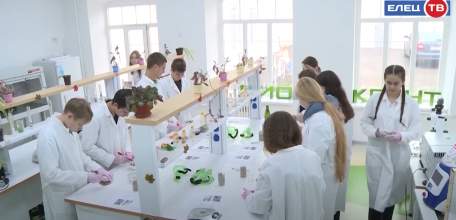 Елецким девятиклассникам рассказали о преимуществах федерального проекта «Профессионалитет»