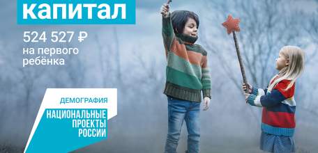 Жилищные условия за счет маткапитала с начала года улучшили 300 семей Липецкой области