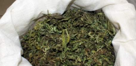 В Елецком районе подросток обвиняется в незаконном обороте наркотических средств в крупном размере