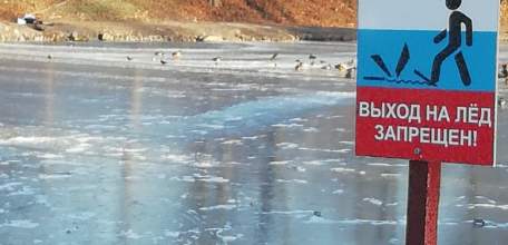 В Ельце устанавливаются обстоятельства смерти 14-летней школьницы, тело которой обнаружено в пруду городского парка