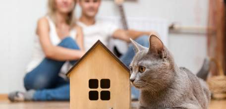 «Льготная ипотека» продлена до 1 июля 2024 года