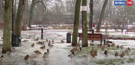 Взят под охрану: в Петровском парке установлено круглосуточное патрулирование