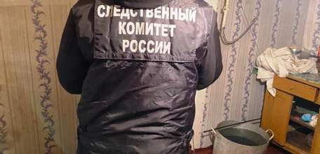 Ельчанин приговорен к колонии строгого режима за смертельное избиение сожительницы