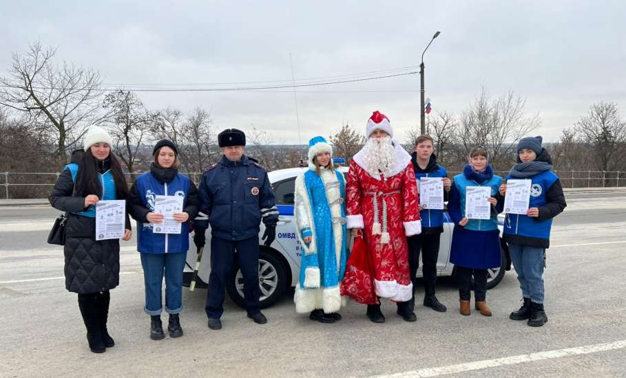 В Ельце прошла профилактическая акция «Дед Мороз за БДД»