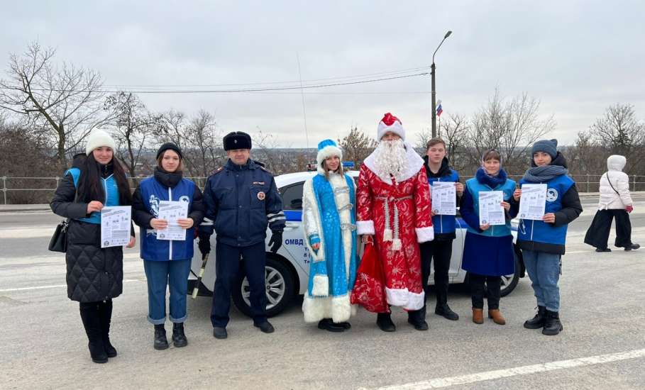 В Ельце прошла профилактическая акция «Дед Мороз за БДД»