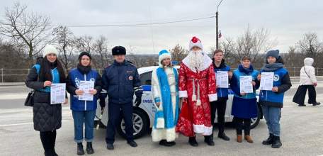 В Ельце прошла профилактическая акция «Дед Мороз за БДД»