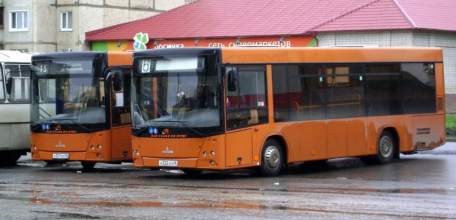 Движение автобусов в Ельце в праздничные дни