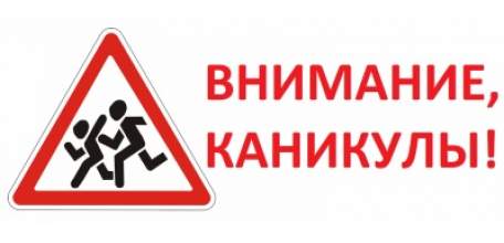 230 нарушений ПДД выявили сотрудники ГИБДД на территории Елецкого района за время проведения профилактического мероприятия «Внимание-каникулы!»