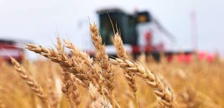 Более 2,5 миллиардов рублей уже запланировано на поддержку АПК Липецкой области в 2023 году