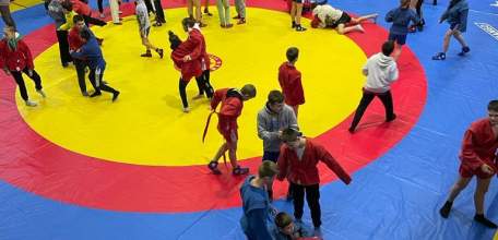 Юные самбисты разыграли призовые места первенства области