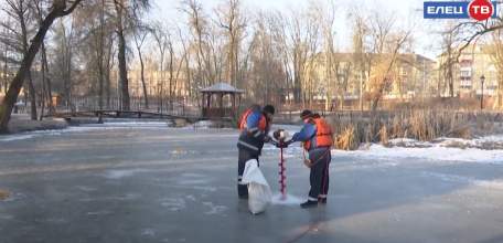 Для рыбы, а не рыбалки: в Петровском парке спасатели заботятся о популяции рыбы