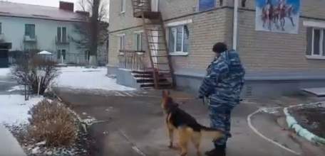 Воспитанники детского сада № 27 г. Ельца познакомились с работой кинологической службы