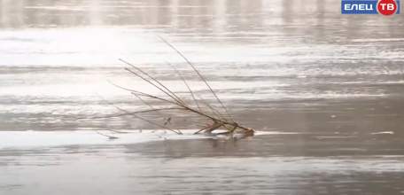 Паводок под контролем: уровень воды в Быстрой Сосне за сутки понизился на метр