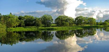 Количество выбросов в атмосферный воздух в Липецкой области снизилось почти на 22 тысячи тонн
