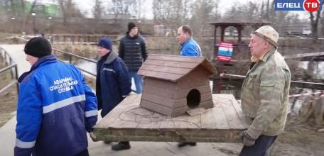 В Петровском парке для уток установили домики на воде