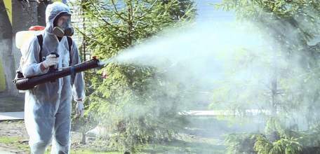 В Ельце в связи с увеличением сезонной активности клещей начинается профилактическая акарицидная обработка