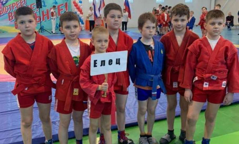 Елецкие самбисты завоевали медали турнира памяти Евгения Рындина