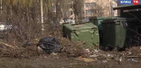 Глава Ельца Евгений Боровских призвал принять меры по наведению порядка с вывозом мусора